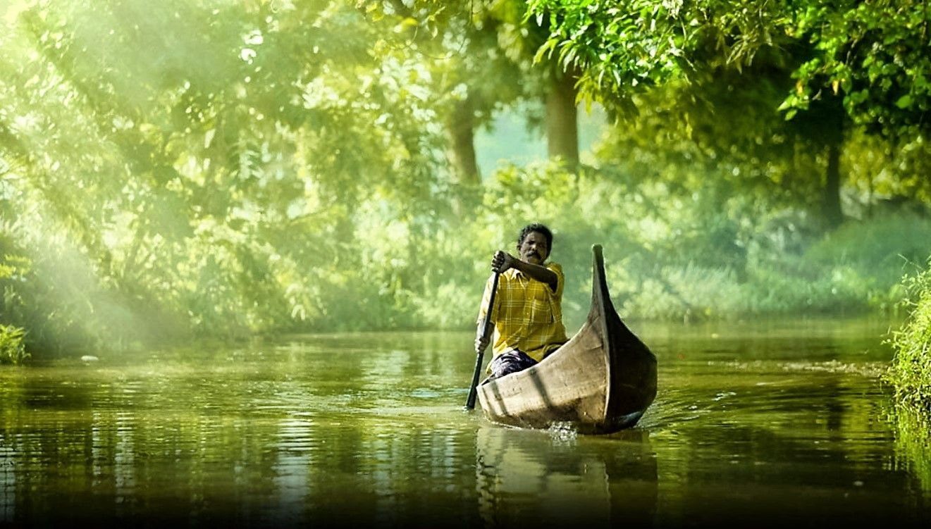 Индия природа лодки