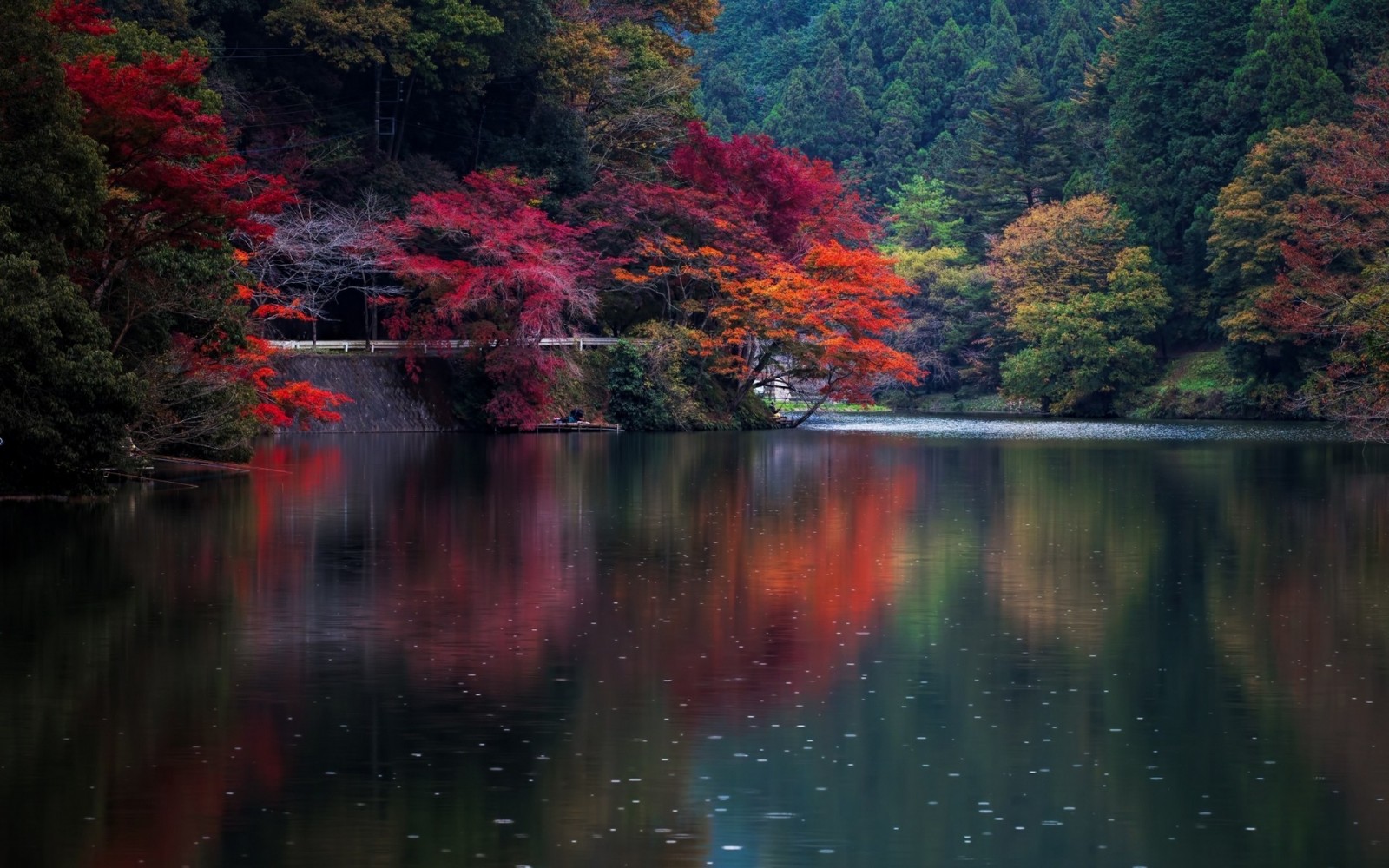Природа Японии осенью