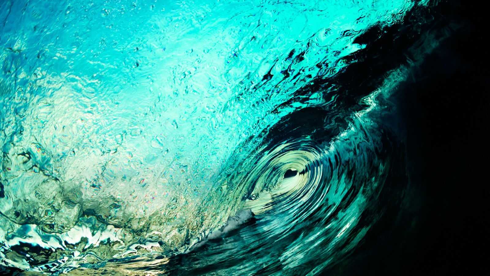 surf